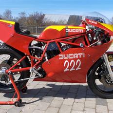 Ducati F1 Racer SOLGT