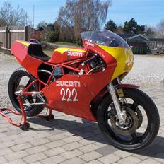 Ducati F1 Racer SOLGT