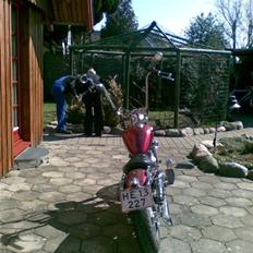 Lifan Xinling 250 V "Bobber"