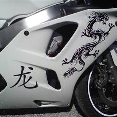 Kawasaki ZX6R  (SOLGT)