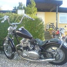 Triumph T110