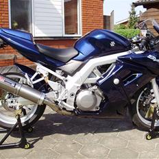 Suzuki SV1000S K4 (SOLGT)