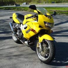 Honda VTR 1000 Fire Storm