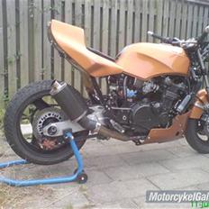 Kawasaki street fighter