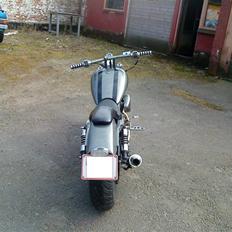 Harley Davidson sportster