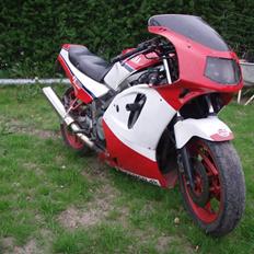 Yamaha FZ 750 (SOLGT)