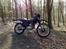 Honda XL 500 S (Solgt) - En tur i skoven!