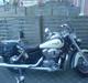 Honda Shadow
