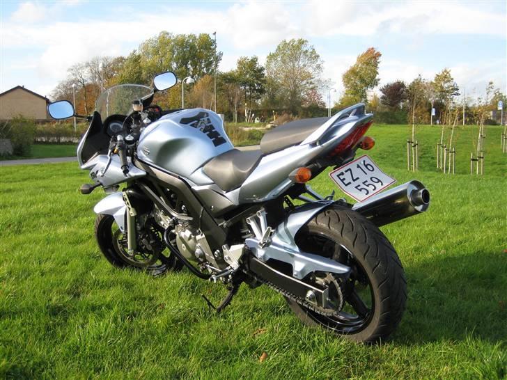 Suzuki SV 650 S billede 5