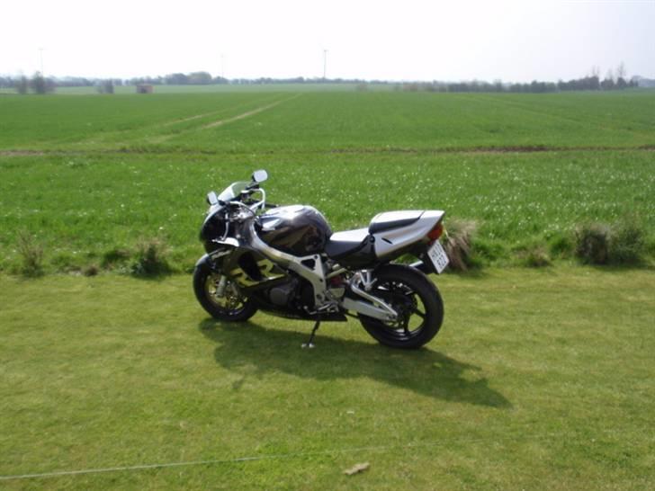 Honda fireblade billede 3