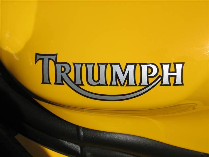 Triumph Daytona 955i(SOLGT) billede 7