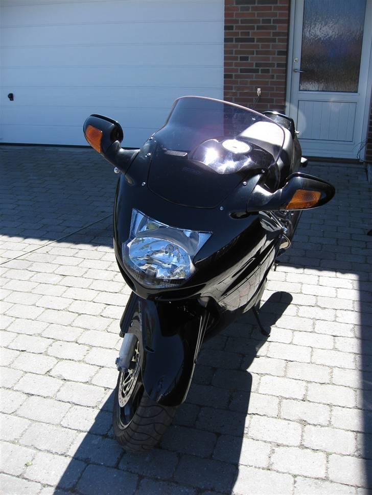 Honda Blackbird - 2009 billede 3