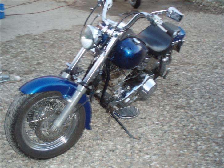 Harley Davidson flh 1200 billede 2