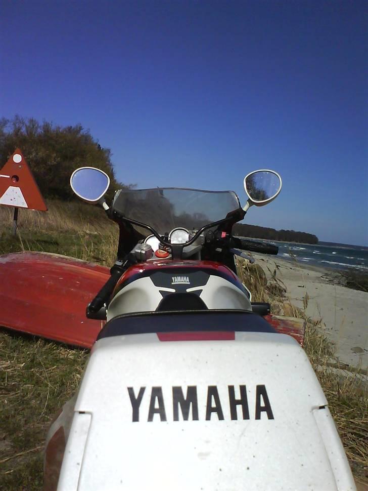 Yamaha FZR 600 billede 15