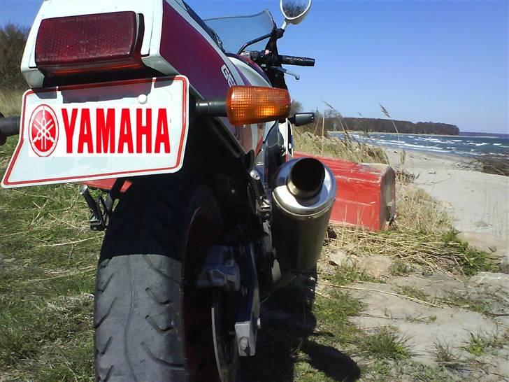 Yamaha FZR 600 billede 16