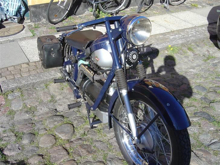 Nimbus Humlebien billede 1