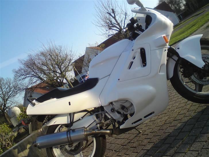 Honda Cbr 600 billede 2