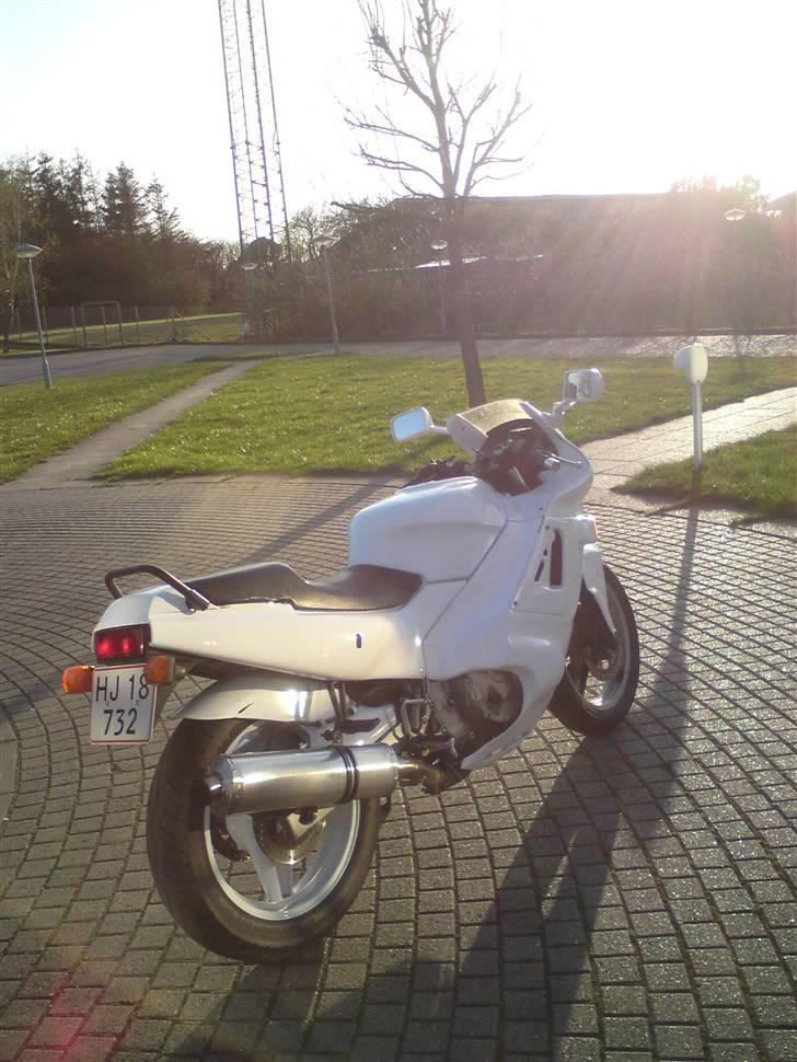 Honda Cbr 600 billede 3