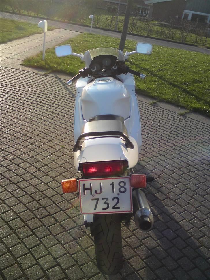 Honda Cbr 600 billede 4