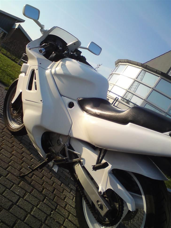 Honda Cbr 600 billede 5