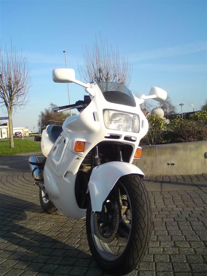 Honda Cbr 600 billede 6