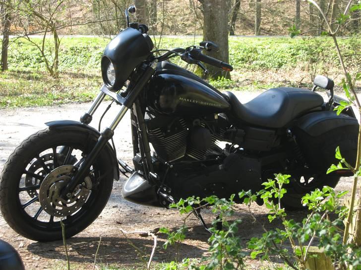 Harley Davidson super glide sport - Forår i Rold skov billede 11