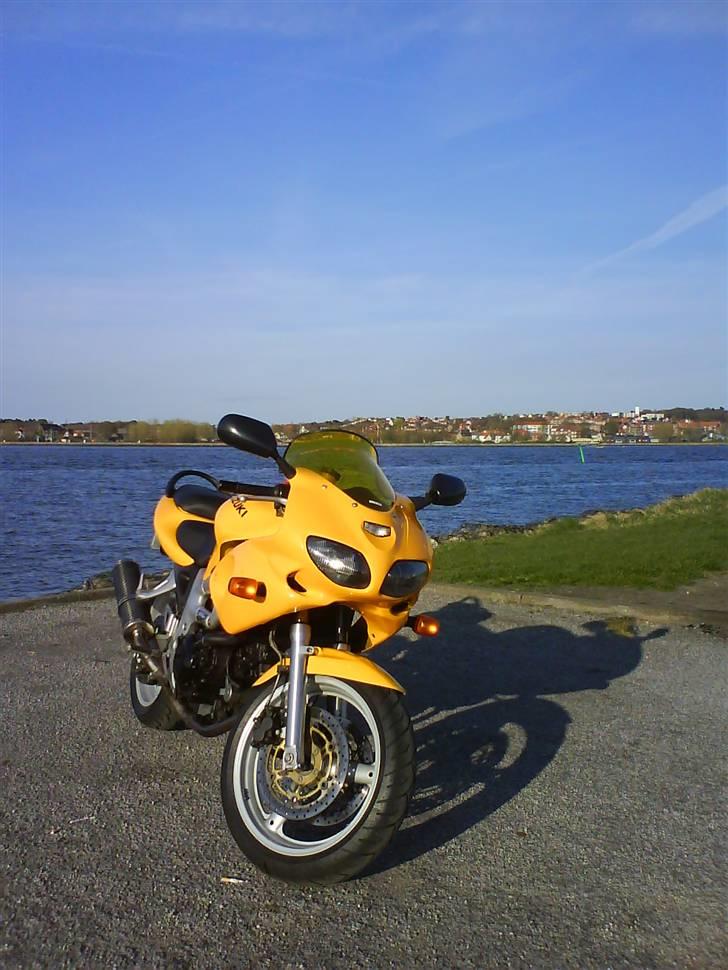 Suzuki SV 650 s - Lige et par pæne billede taget i Aalborg ved havnen billede 2