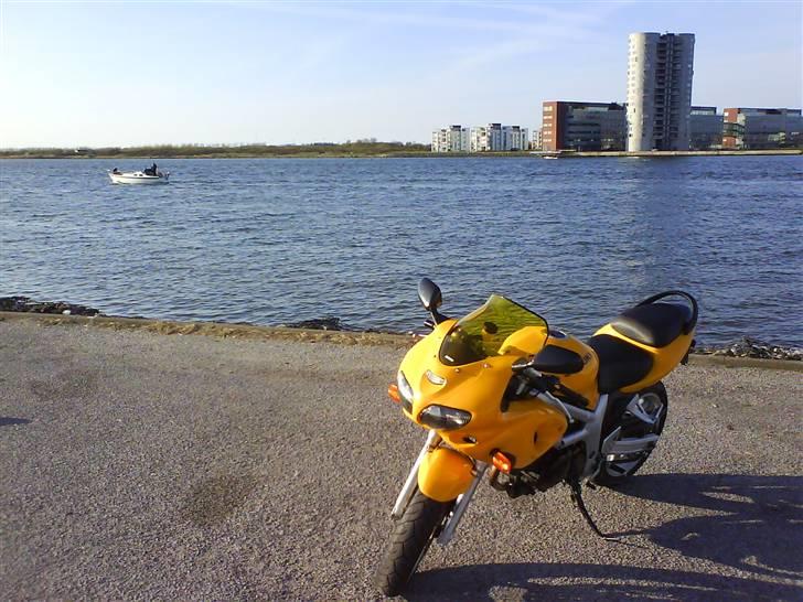 Suzuki SV 650 s billede 3
