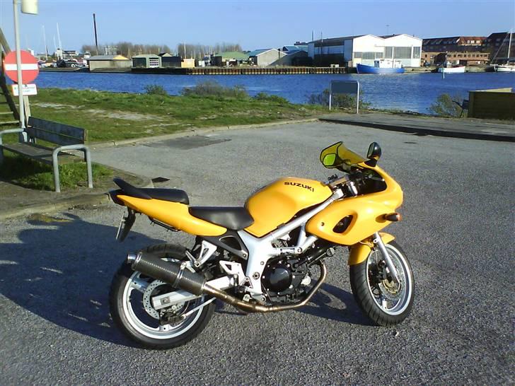 Suzuki SV 650 s billede 4