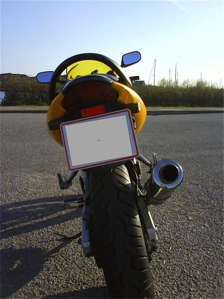 Suzuki SV 650 s - Gankske udemærket røv billede 5