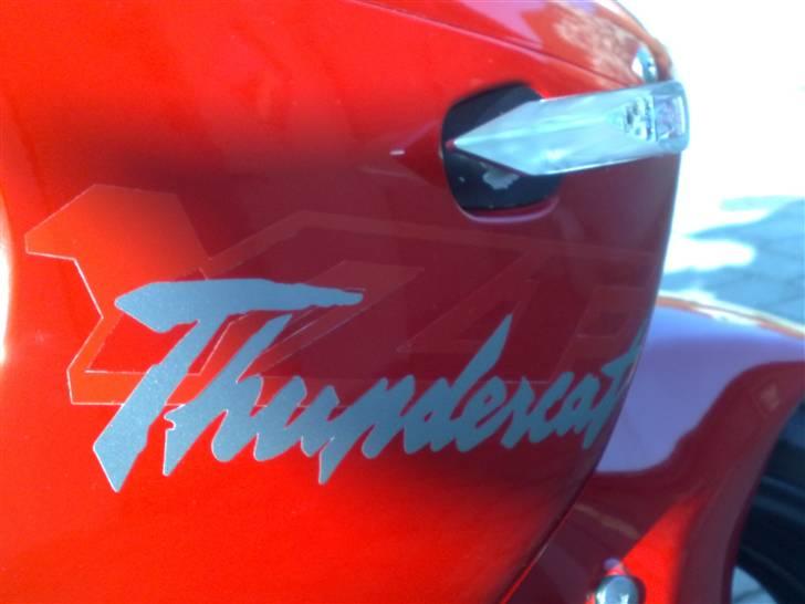 Yamaha YZF 600R Thundercat SOLGT billede 15