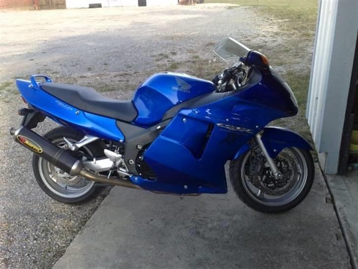 Honda CBR 1100 XX (Blue)bird - Her er min (Blue)bird billede 1