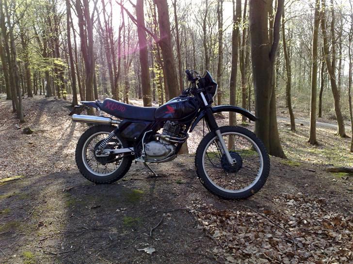 Honda XL 500 S (Solgt) - En tur i skoven! billede 6