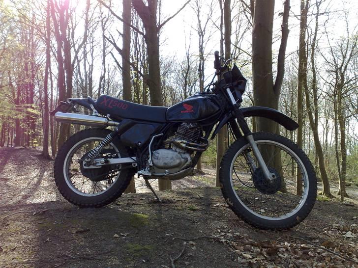 Honda XL 500 S (Solgt) - En tur i skoven! billede 7