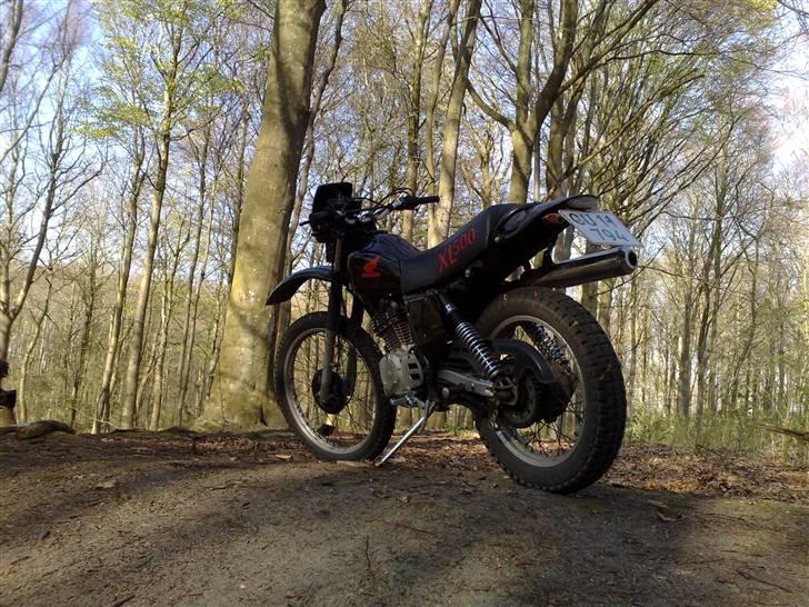 Honda XL 500 S (Solgt) - En tur i skoven! billede 8