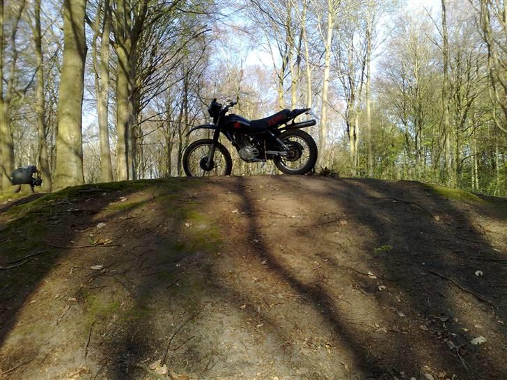 Honda XL 500 S (Solgt) - En tur i skoven! billede 9