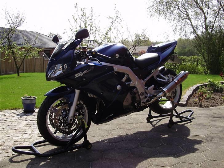 Suzuki SV1000S K4 (SOLGT) - Billedet taget d. 23.04.2009 billede 1