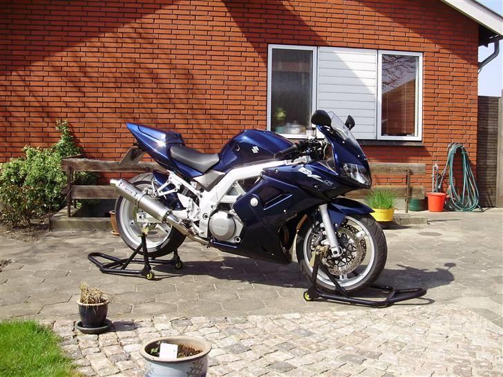 Suzuki SV1000S K4 (SOLGT) billede 2