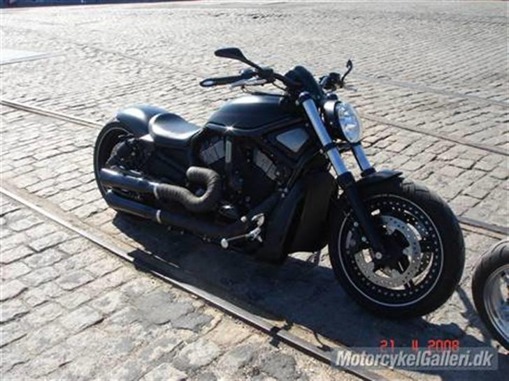 Harley Davidson v rod special "solgt" billede 9