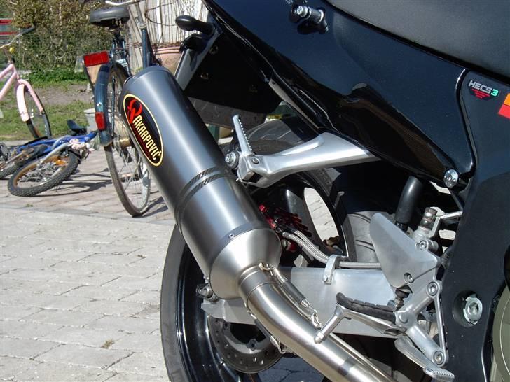 Honda Blackbird billede 5