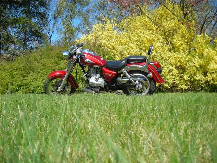 Jinlun 150.5 billede 4