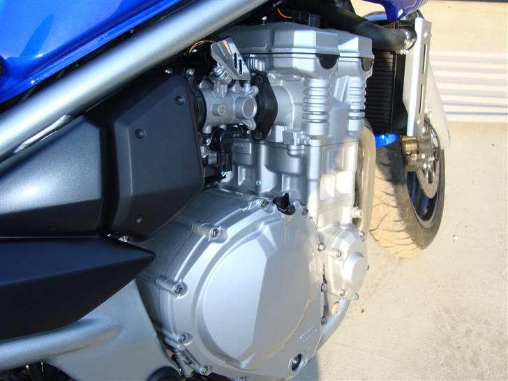 Suzuki GSF 650 BanditS billede 5