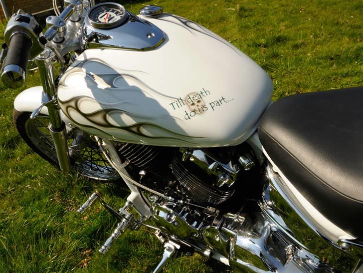 Yamaha XVS 650 Dragstar billede 2