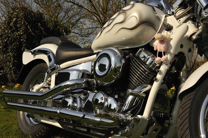 Yamaha XVS 650 Dragstar billede 6