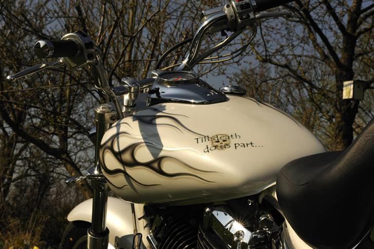 Yamaha XVS 650 Dragstar billede 7