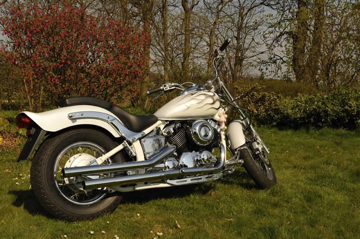 Yamaha XVS 650 Dragstar billede 9