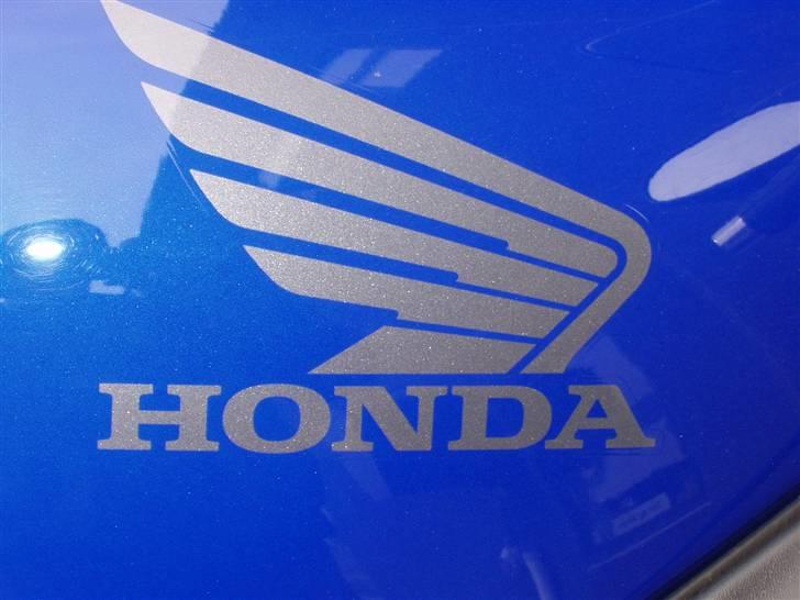 Honda CBR 1100 XX (Blue)bird - Ja - hvad kan man sige: HONDAPOWER!!! billede 6