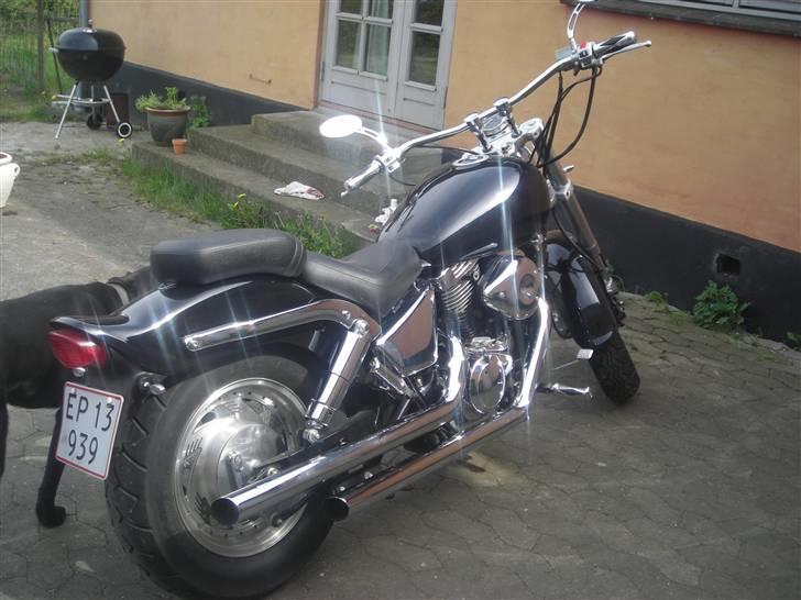 Suzuki VZ800 Marauder (total skadet) billede 3