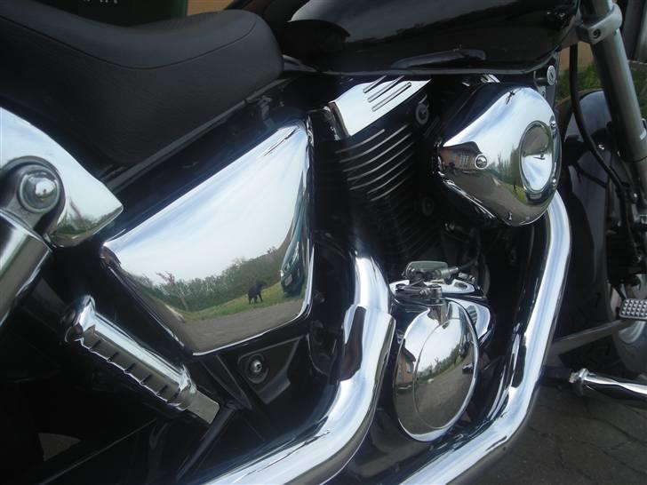 Suzuki VZ800 Marauder (total skadet) billede 8