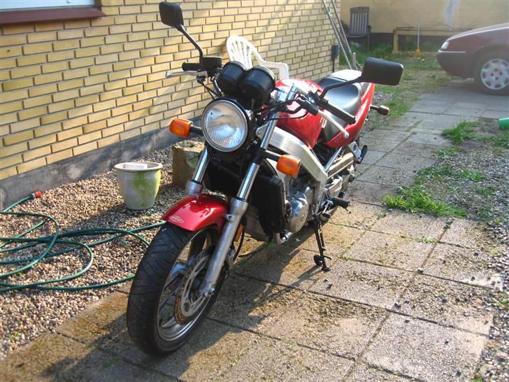 Honda Hawk 647 GT  billede 1